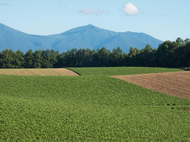 夏田和德町山脉图片下载