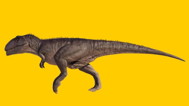 一只孤立在黄色空白背景上的恐龙图片下载