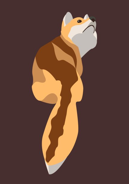 小狐狸望着空旷黑暗的背景图片下载