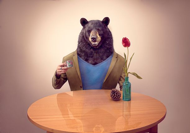 穿着西装的熊坐在桌子旁，桌上放着花和圆锥体，手里拿着杯子图片下载