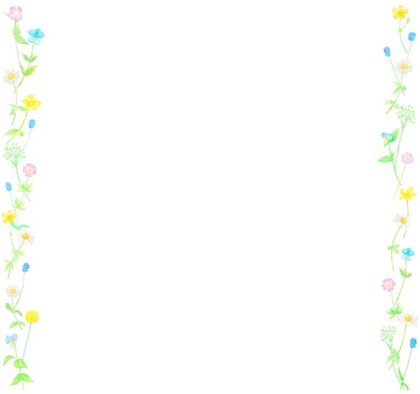 画框上点缀着五颜六色的春天野花。图片下载
