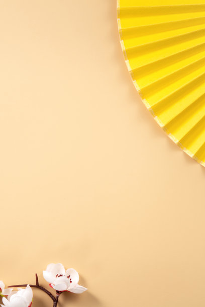 中国农历新年背景设计概念，以白梅花和节日装饰。图片下载