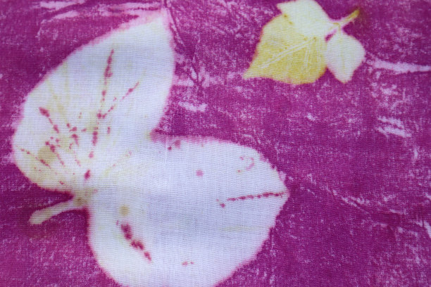 纹理背景的自然黄和白叶子从生态印刷过程。图片下载