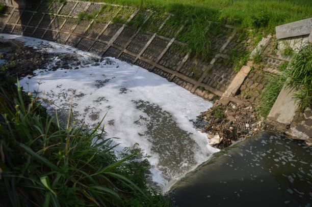 被垃圾和污水污染的河水图片下载