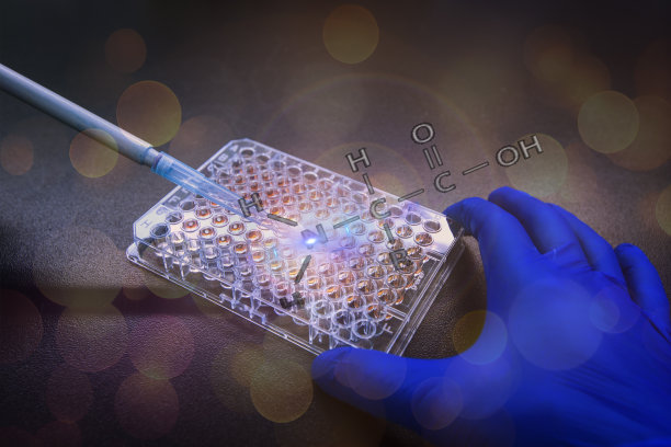 Western blot分析或蛋白分析图片下载