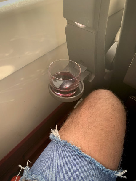 坐火车旅行。图片下载