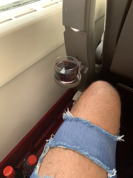 坐火车旅行。图片下载