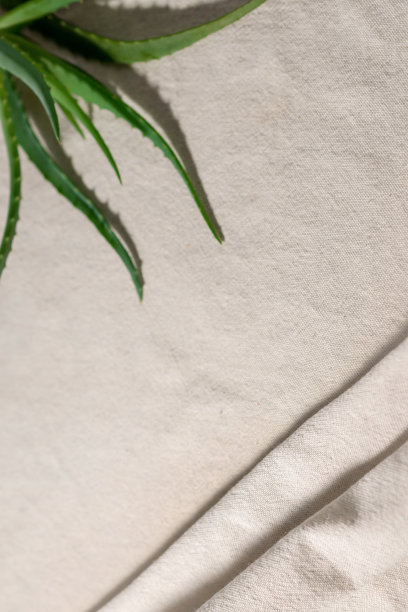美学最小的花卉背景与芦荟植物叶子的阴影上皱米色亚麻桌布。图片下载