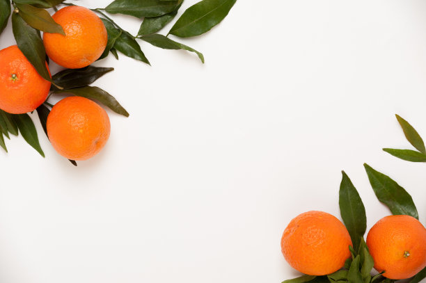 柑橘布局图片下载