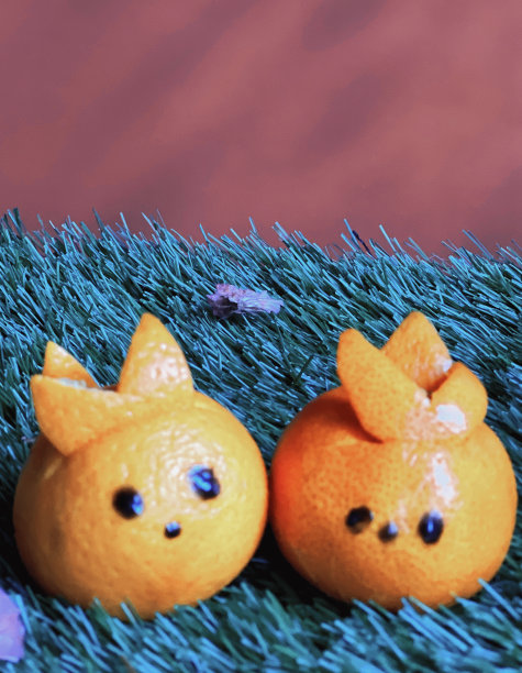 2023年春节快乐，兔橙，红底绿草图片下载