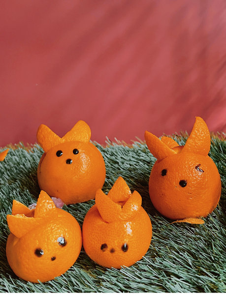 2023年春节快乐，兔橙，红底绿草图片下载