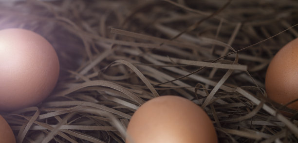 乡村农场上方的木桌上放着鸡蛋图片下载