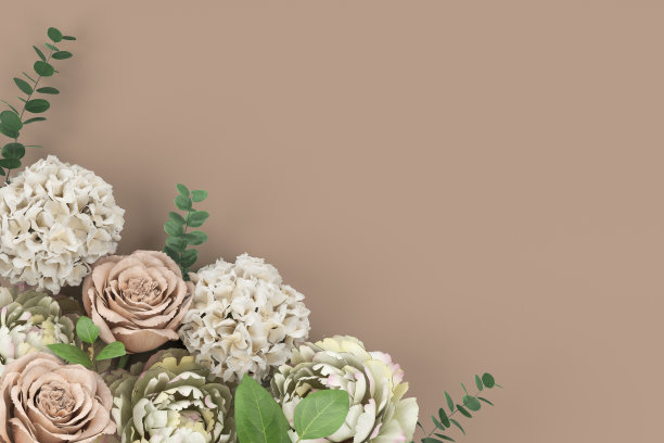 花卉设计概念粉红色玫瑰和白色牡丹3d渲染彩色背景图片下载