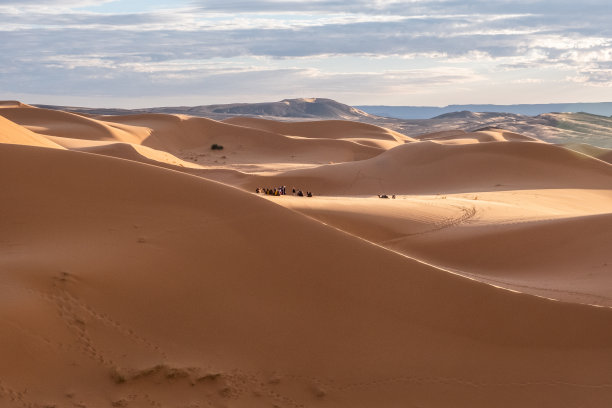 撒哈拉沙漠里美丽的沙丘。图片下载