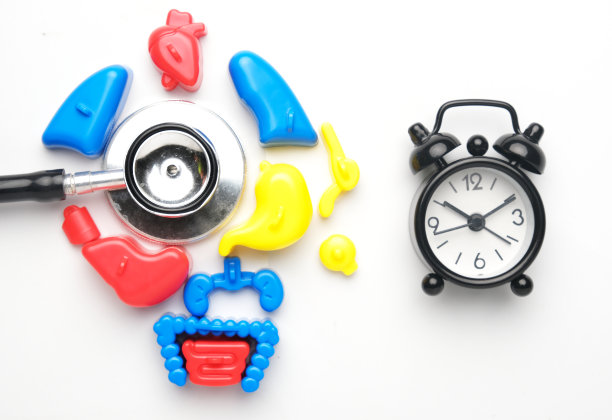 学习医学人体解剖学图片下载