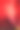 红色冬季圣诞花孤顶花圣诞快乐特写图片下载