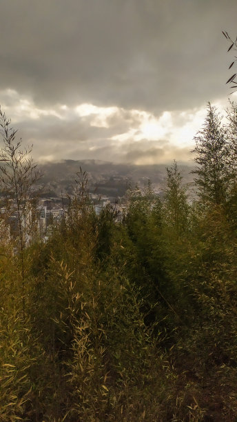 城市景观图片下载