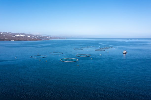 挪威的鲑鱼养殖图片下载