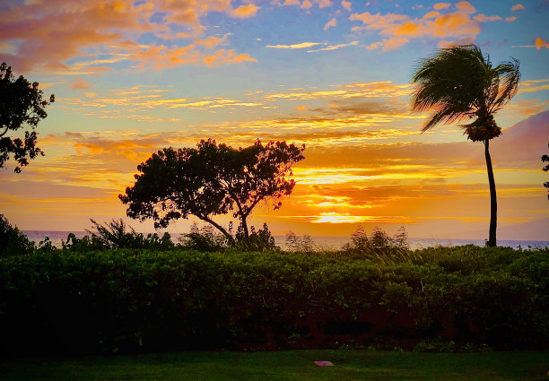 夏威夷之夜图片下载