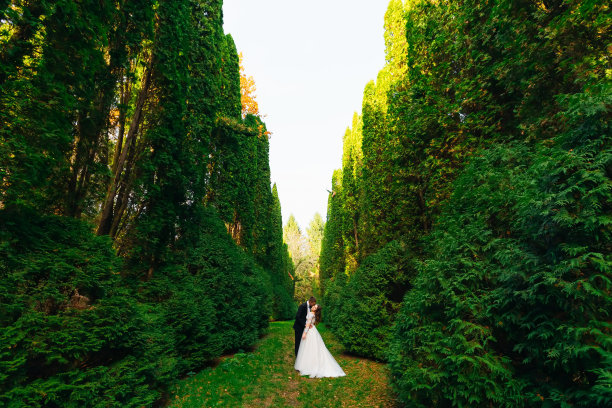 在绿色公园拥抱新婚夫妇。新郎穿着西装，打领结。图片下载