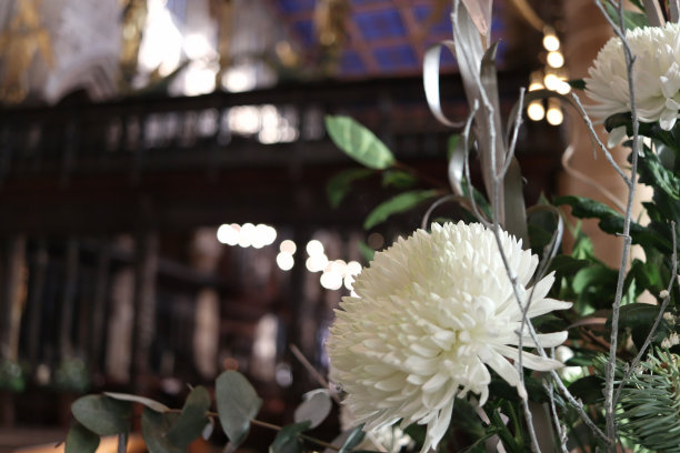 圣公会大教堂的白花图片下载