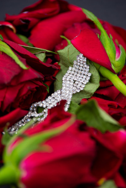 一个女人的钻石珠宝在红玫瑰在黑色背景上的特写。图片下载