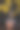 莫斯科克里姆林宫的圣诞节图片下载