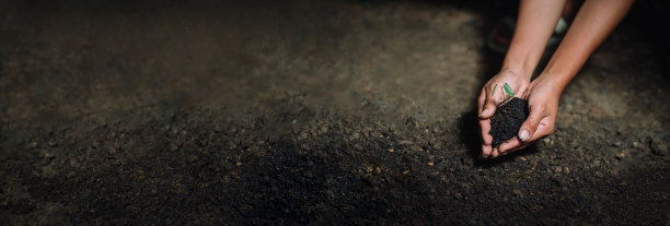 图片与复制空间，年轻女子手中的树苗，全球环境可持续发展理念保护环境图片下载