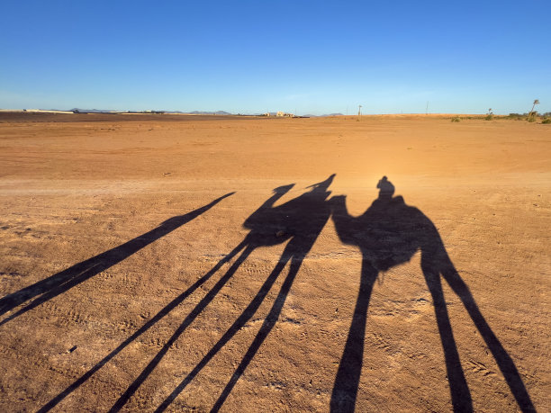 沙漠中骑着骆驼的人的剪影图片下载