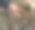 古色古香的黄铜水龙头，堪称建筑的丰碑。街上有个老旧的水龙头。图片下载