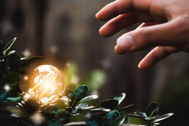 灯泡喜欢知识和好主意。图片下载