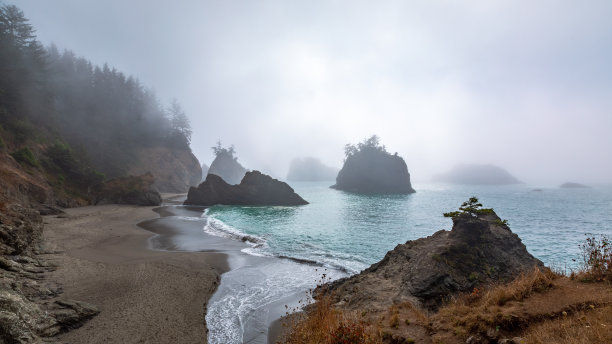 神秘的秘密海滩位于美国西海岸俄勒冈州图片下载