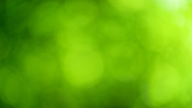 在自然森林中，阳光和散景光线下树木模糊的叶子图片下载