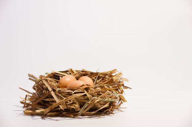 一个有蛋的干草窝图片下载