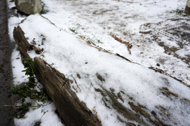木头木板上覆盖着一堆雪图片下载