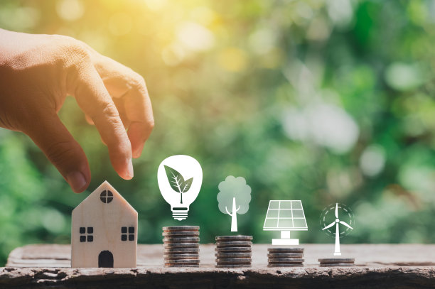 钱生长硬币和木块自然保护图标在地面上的小树与自然背景节省财务增长的财务会计的想法图片下载