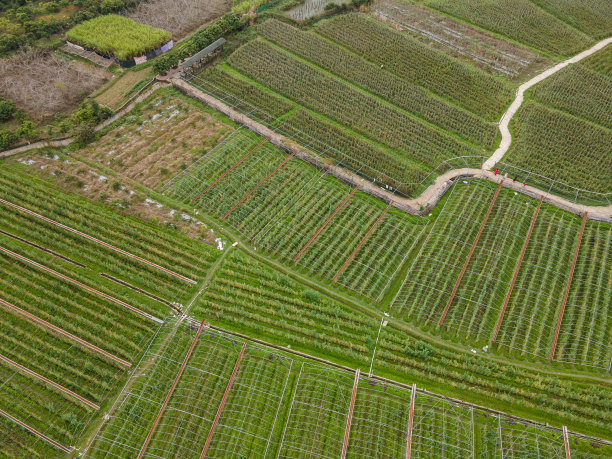 鸟瞰村里的绿色田野图片下载