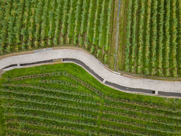 鸟瞰村里的绿色田野图片下载