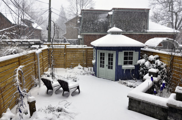 豪华景观后花园在冬季。图片下载
