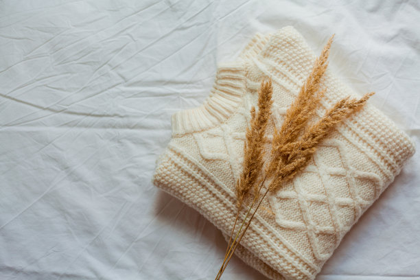 针织舒适的毛衣在棕色阴影的白色背景。Pampasgrass。的房子。冬天。布。图片下载