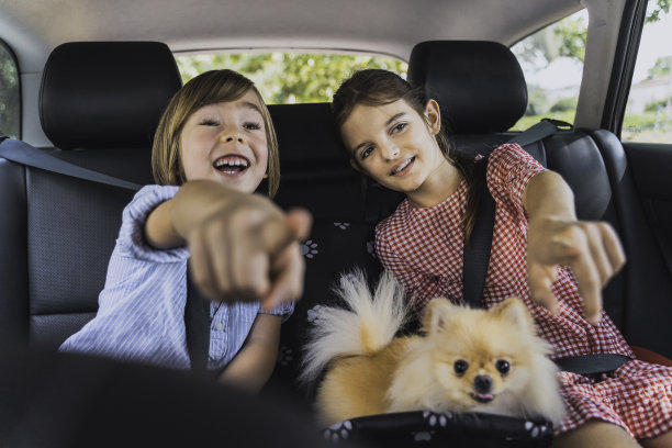 快乐的孩子在汽车旅行中玩耍。图片下载