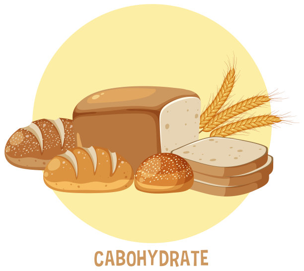 各种碳水化合物食物图片下载