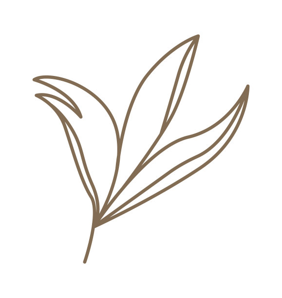 当代树叶线条艺术风格图片下载