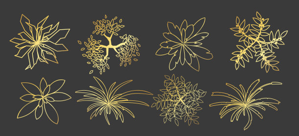 金色的树木和植物顶视图孤立在黑暗的背景。设计项目要素。草木集建筑、景观设计。黑色和金色图形插图。矢量工具图片下载