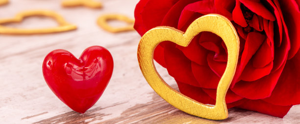 情人节浪漫静物图片下载