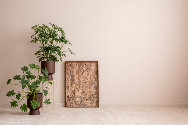 极简主义的空间构成优雅而突出，有复制空间、植物、模拟海报框架、装饰和配件。创意家居装饰。模板。图片下载