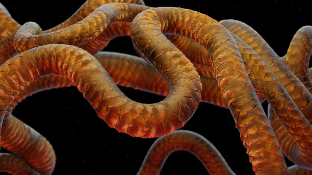 背景与外星微观蠕虫，抽象3d渲染图片下载