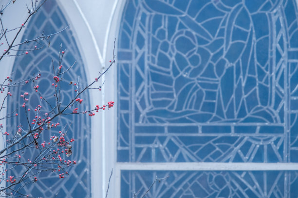 教堂窗户前光秃秃的树枝上醒目的粉红色浆果。图片下载