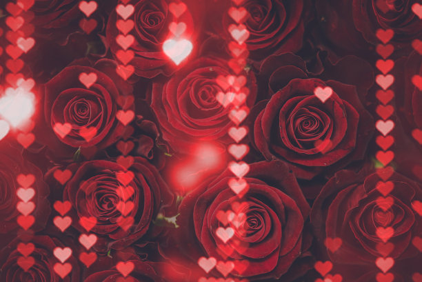 带有浪漫爱心的红色玫瑰图片下载
