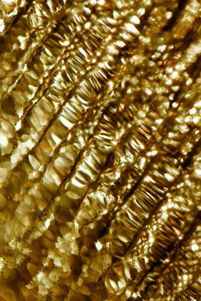 几何金闪亮金属闪光几何背景图片下载